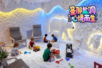 如何选择人造洞穴盐疗屋制作公司？