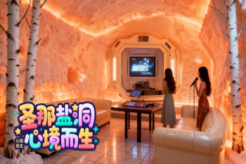 广东盐疗房歌厅 仿真洞穴盐疗房实在太z愈了