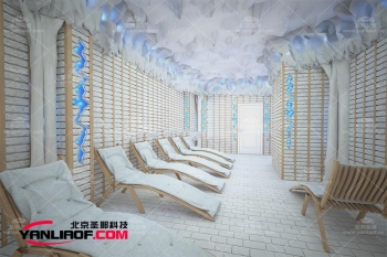 新疆盐洞盐砖盐墙的发展受到技术市场和文化接受的影响